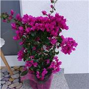 Lern- und Lesebegleitung empathisch und ganzheitlich